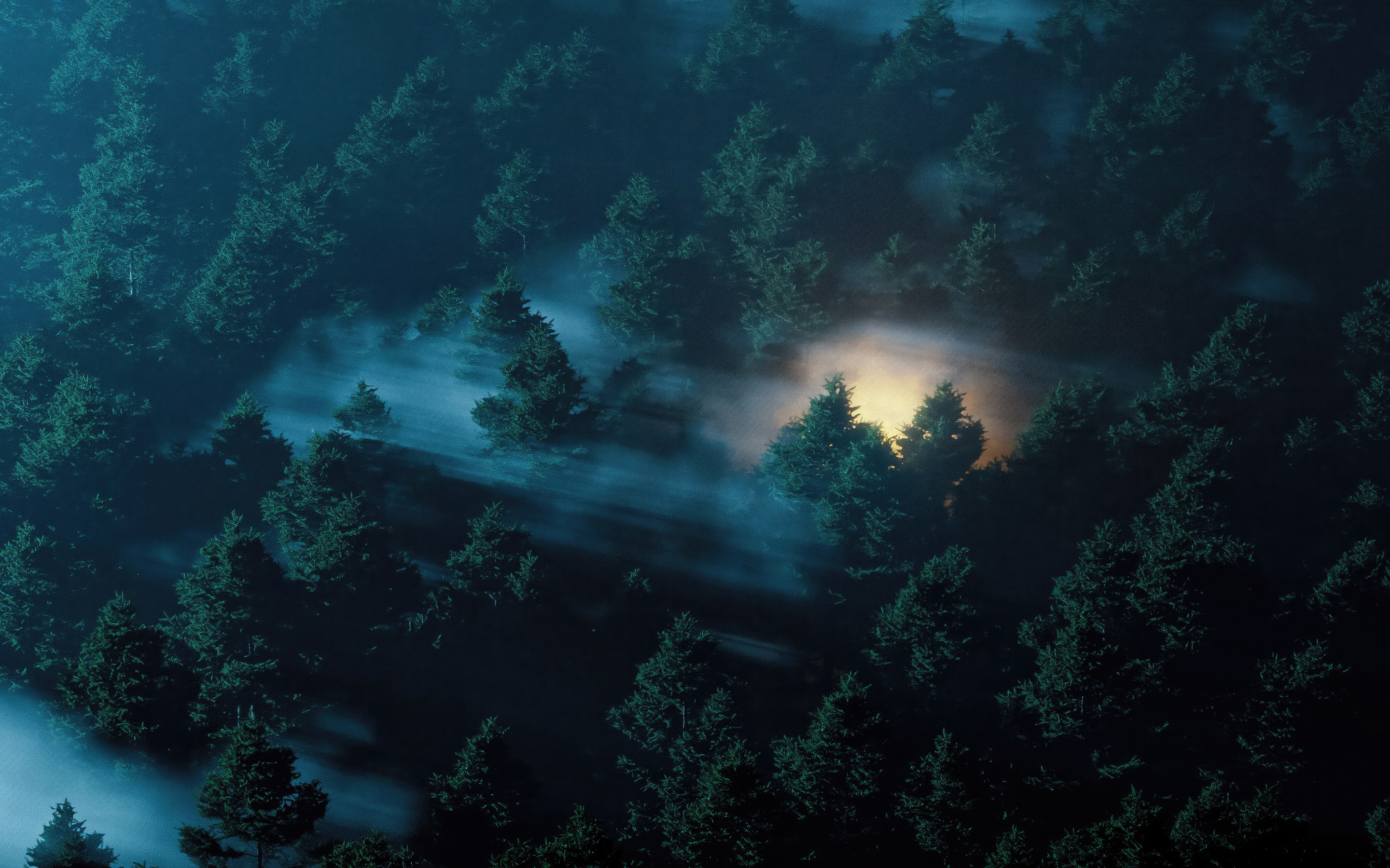 home-banner-background